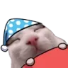 CatSleepo