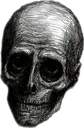 EmptySkull