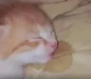 eepy eepy