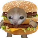 cat_burger