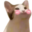 fofo