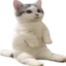 CatSittingVeryComfortably