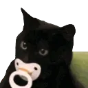 kittypaci Discord Emoji