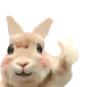 tho_hi
