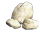 :limestone~1: