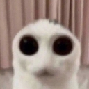 cath Discord emoji