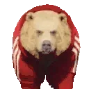 borisleave