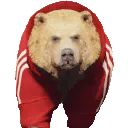 boris