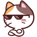 cc_cool