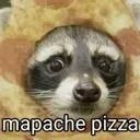 mapachepizza