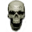 tskull