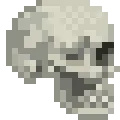 skull