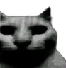 Cat_Uncanny