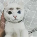 silly