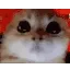 Ragey