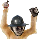 supportgibbon supportgibbon