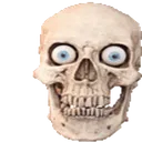 1_skull3