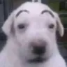huh huh