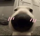 e1cf960604e2f9d7fbf3f649d2371a1a