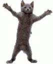 aab99d9713043aa2e287c590fffefbd0