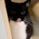 myum