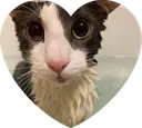 sog_heart