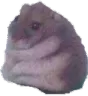 ratchonk