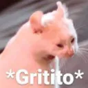 catgritito