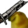 dd_doge_bonk