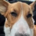 sideeye