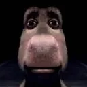 bruh bruh