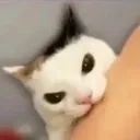 fuckedupevilcreature fuckedupevilcreature