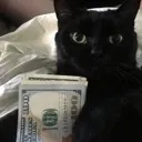 CatDollars