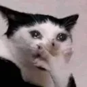omg