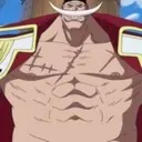 THEONEPIECE