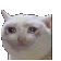 697290202007339069