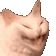 745178980180688996