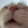1140641247241969744