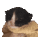 1140645318325698560