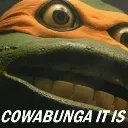 CowabungaItIs