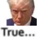 trump_true