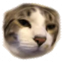 emoji_38