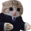 yourhonorexplain