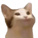 kitty_pop