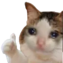 kitty_okay kitty_okay