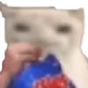 kitty_hungry