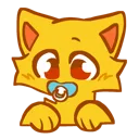 ECatPaci