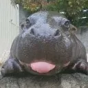 Bleh2 Bleh2