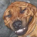 doug