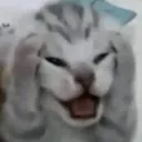 emoji_13